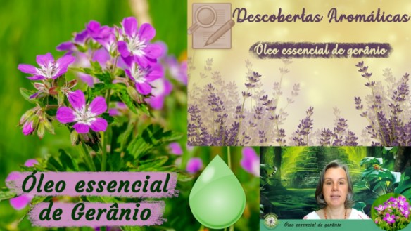 Óleo essencial de Gerânio-Youtube