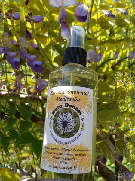 Sinergia Ambiental Meditação