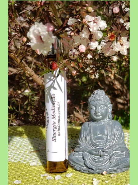 Sinergia Meditação