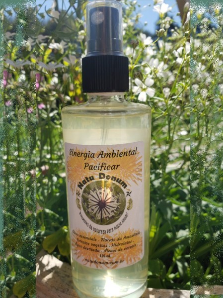 Sinergia Ambiental Pacificar