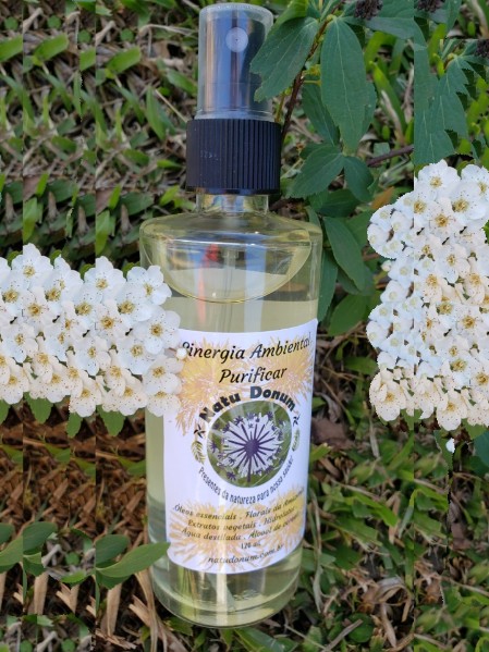 Sinergia Ambiental Purificar