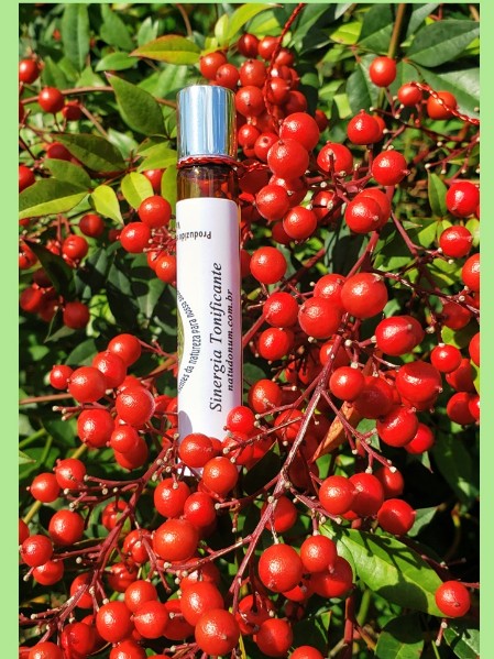 Sinergia Tonificante