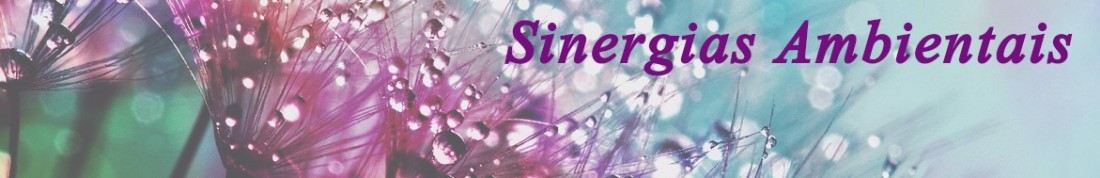 Sinergias Ambientais