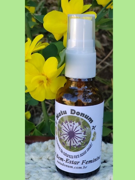 Blend bem-estar feminino