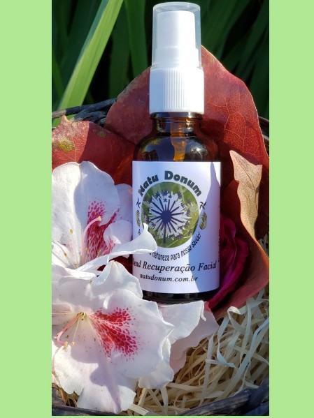 Blend Recuperação facial