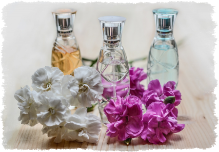 Frascos e flores Frascos e flores