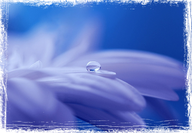Gota Gota