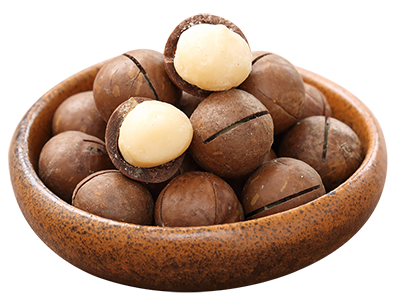 Macadâmia