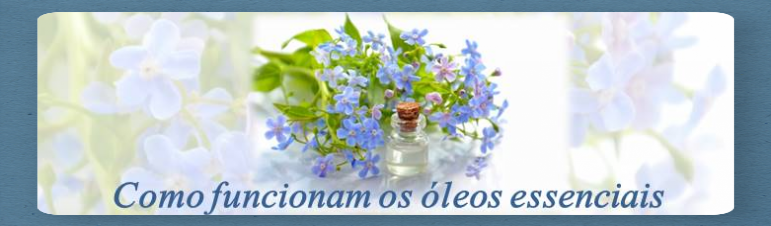 Como funcionam os óleos essenciais Como funcionam os óleos essenciais