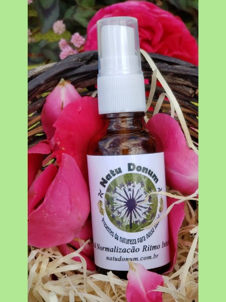 Blend Ritmo Intestinal